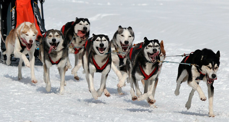 leadership and teamwork