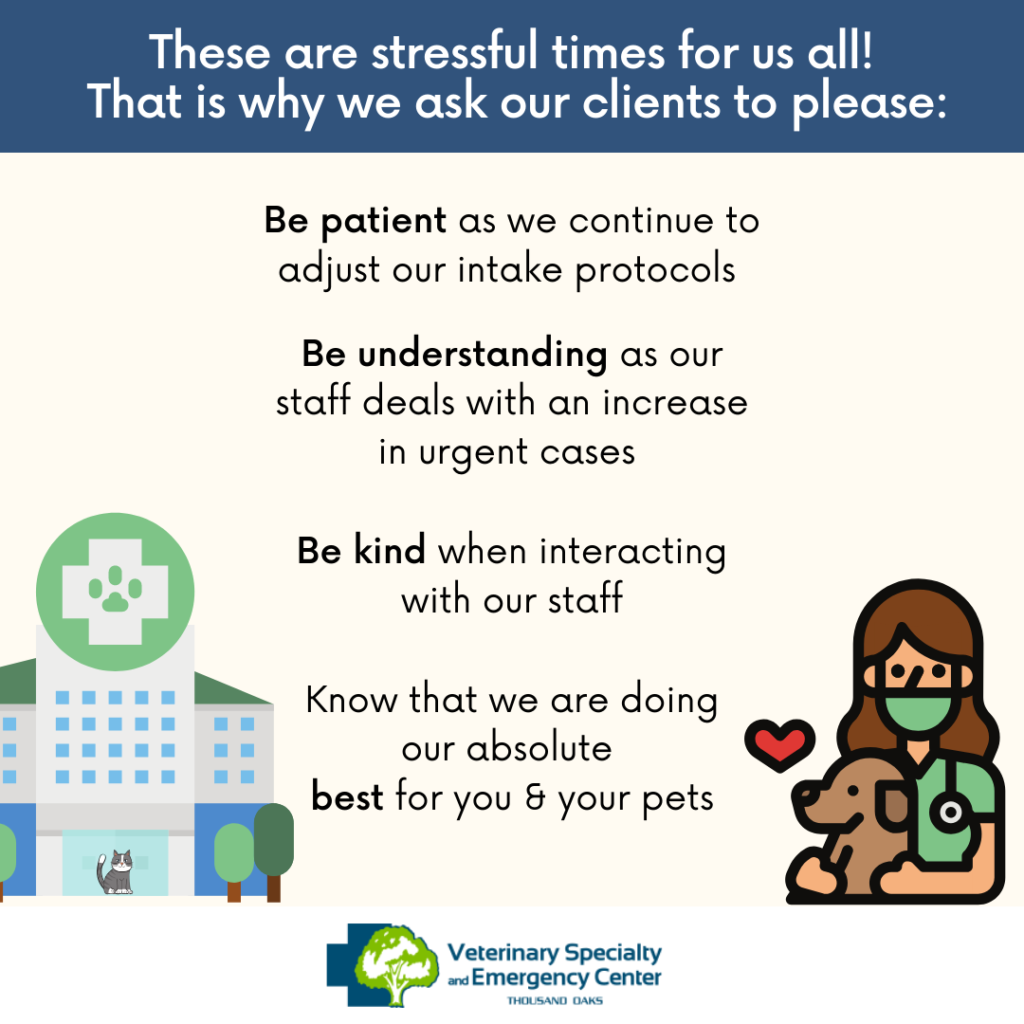 VSEC Be kind campaign - social