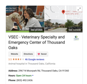Local SEO veterinary