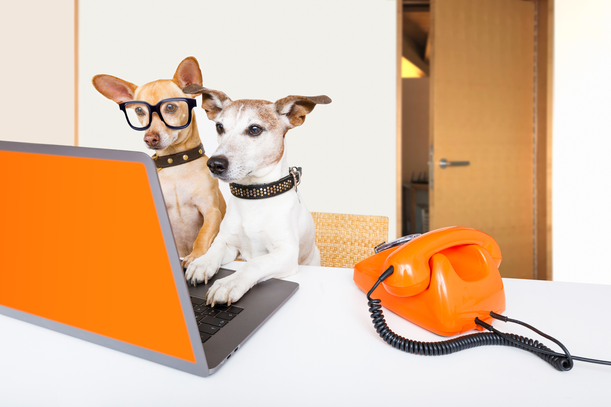 When your practice management needs leadership